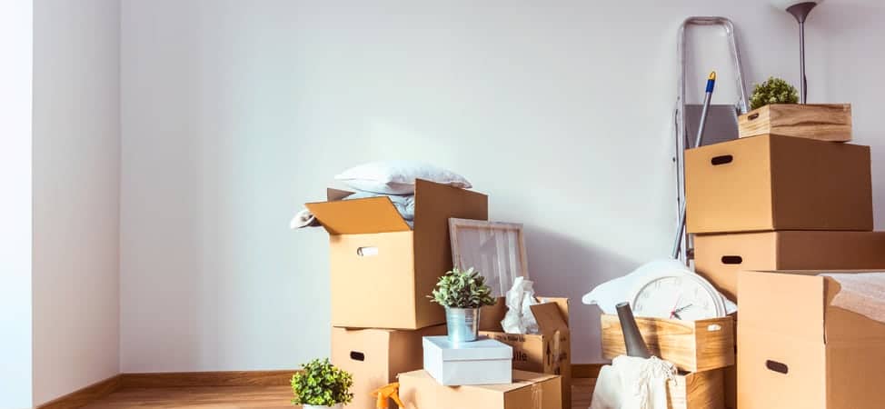 B1/B2 Visa Holders household goods